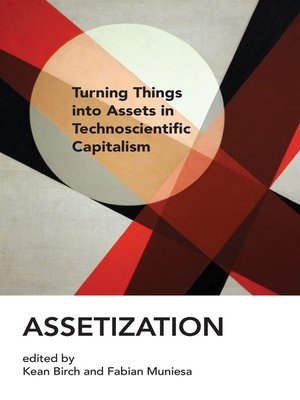 cover image of Assetization